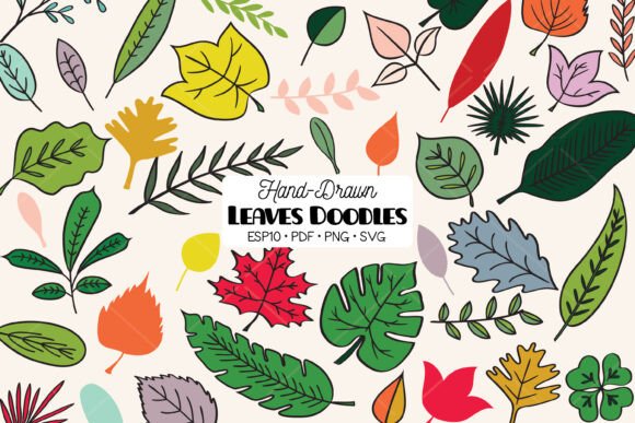 Download Colored Leaves | Tropical Foliage Plant - Leaves Collection